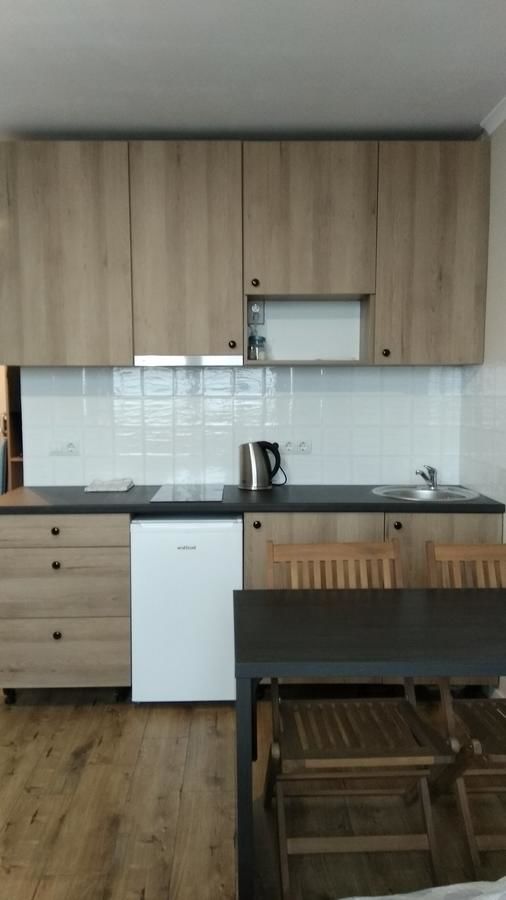 Апартаменты N.A.N Apartments on Krushelnytska Киев-14
