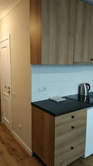 Апартаменты N.A.N Apartments on Krushelnytska Киев Номер-студио-8