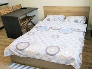 Апартаменты N.A.N Apartments on Krushelnytska Киев Номер-студио-11