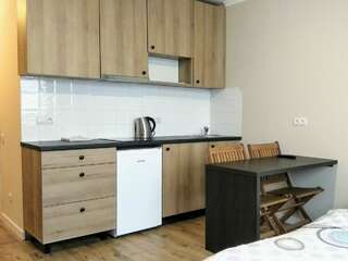 Апартаменты N.A.N Apartments on Krushelnytska Киев Номер-студио-12