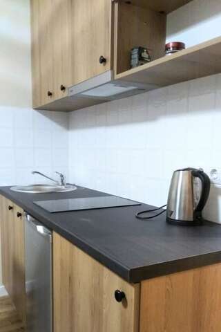 Апартаменты N.A.N Apartments on Krushelnytska Киев Стандартный номер-студио-8