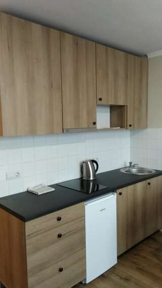 Апартаменты N.A.N Apartments on Krushelnytska Киев Номер-студио-7