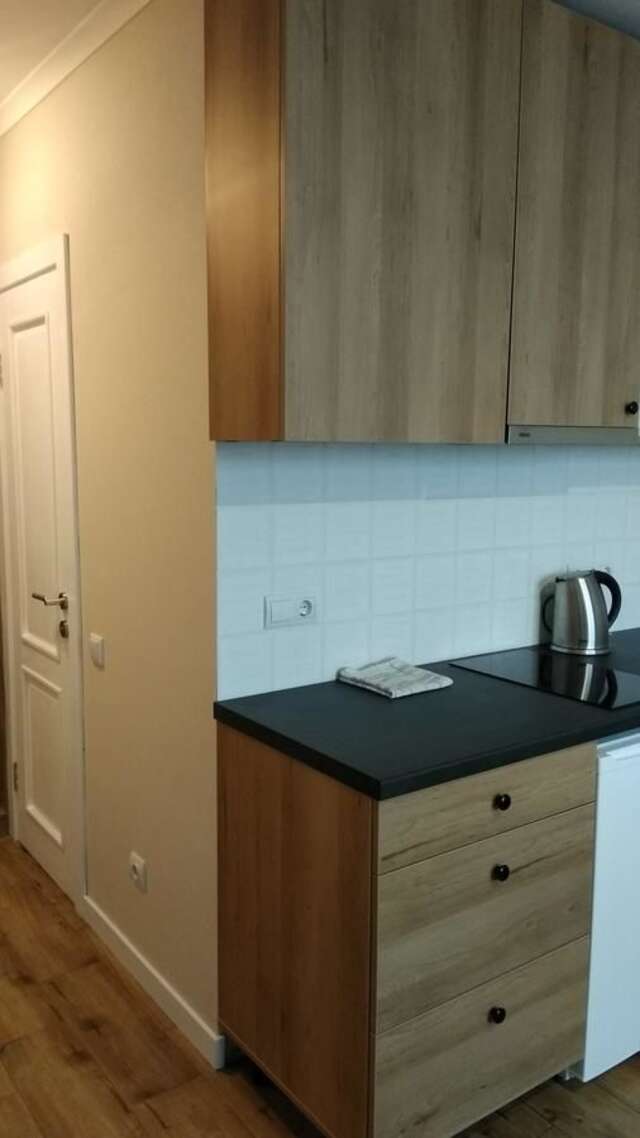 Апартаменты N.A.N Apartments on Krushelnytska Киев-12