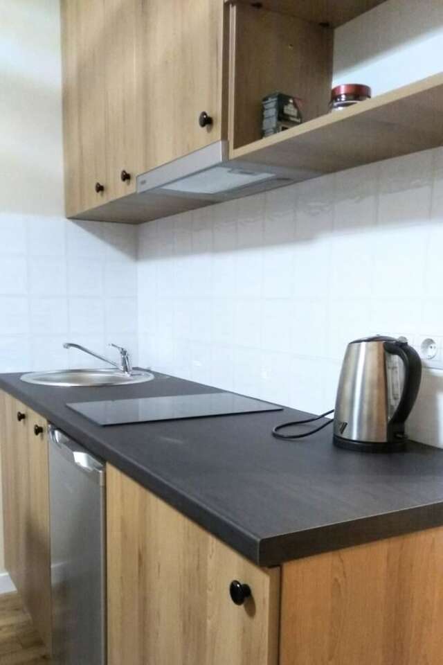 Апартаменты N.A.N Apartments on Krushelnytska Киев-22
